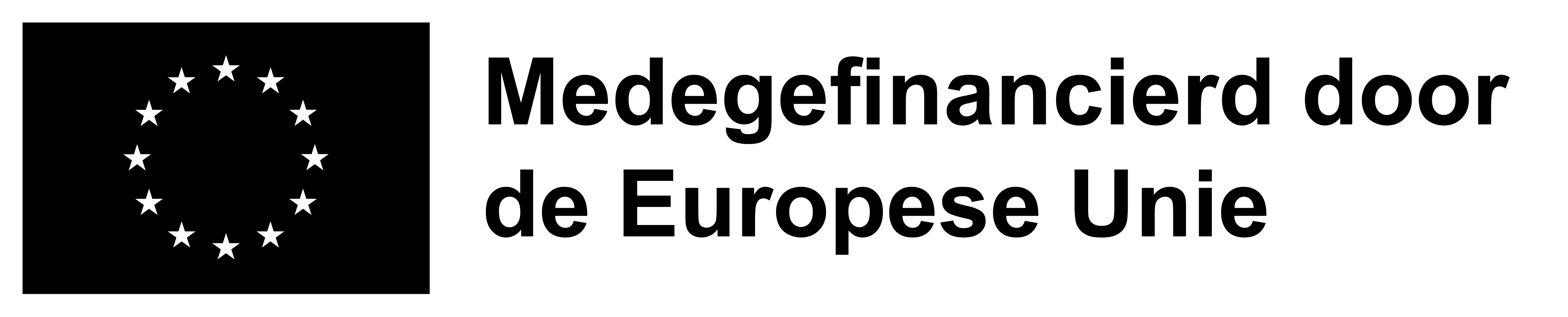 Logo AMIF