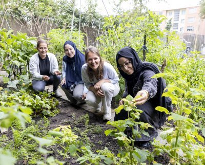 Vier vrouwen aan het werk in de tuin