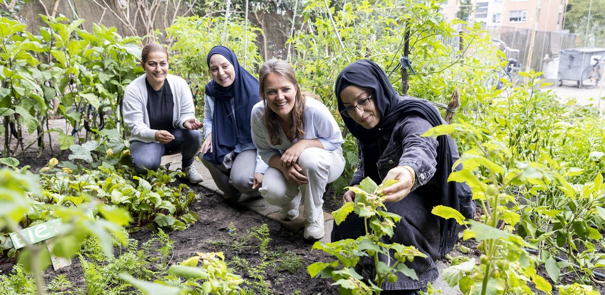 Vier vrouwen aan het werk in de tuin